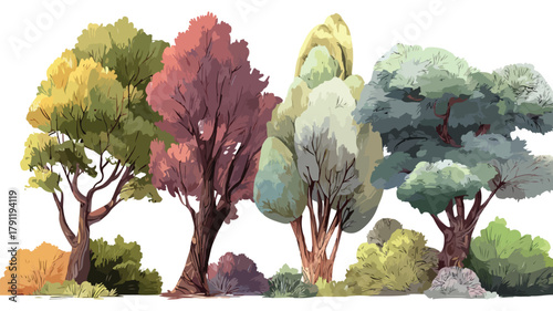 Diverse Perennial Trees with Sturdy Trunks for Landscaping