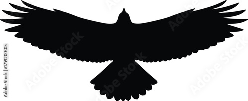 Bird in flight silhouette, wings spread vector, flying bird icon, tail feathers, minimalist design, wildlife concept, aerial view, nature symbol