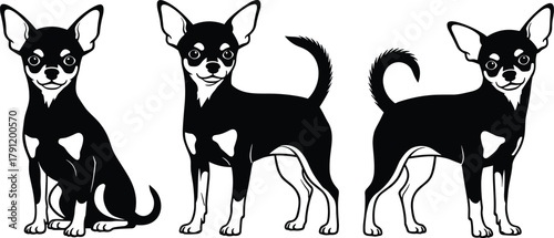 Chihuahua dog silhouette illustration, small breed vector, pet icon, black artwork, canine poses, domestic animal design, playful character concept