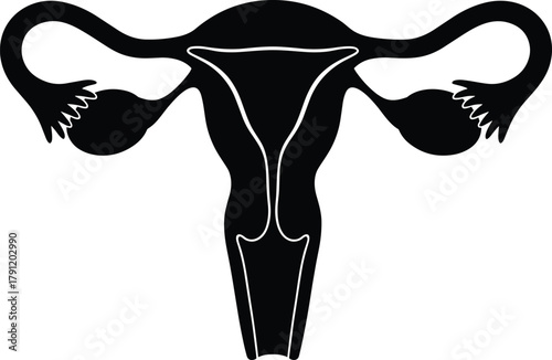 Female reproductive system silhouette, uterus vector, medical anatomy icon, gynecology illustration, fallopian tubes, ovaries, endometrial cavity, healthcare concept