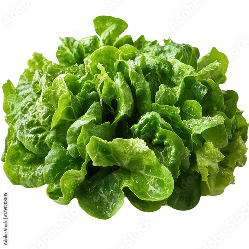 Healthy green salad isolated on a white background