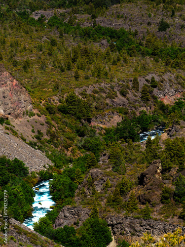 Lush green mountain with a tiny river winding between trees and soil tones