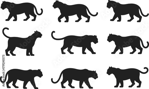 Panther walking silhouettes, feline motion sequence, black vector design, animal locomotion study, side profile poses, isolated graphic asset, animation reference