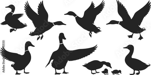 PrintSilhouettes of ducks in various poses, flying and walking birds with ducklings for nature, wildlife, behavior and illustration themes
