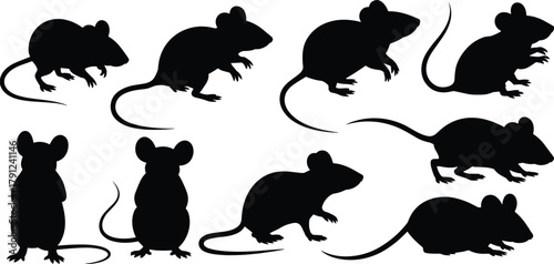 WebRodent silhouettes, mice and rats, black vector animals, diverse postures, tail shapes, white background, zoology, anatomy, wildlife, small mammals, graphic design