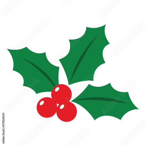 Holly Plant with Red Berries and Green Leaves – Christmas Icon