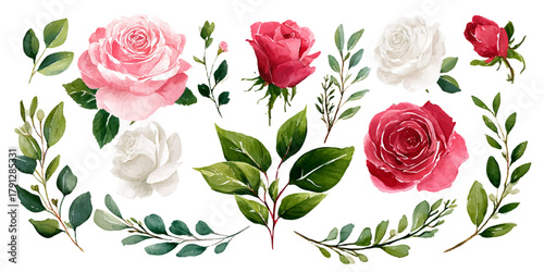 Elegant watercolor floral arrangement featuring pink and red roses with lush green leaves and branches