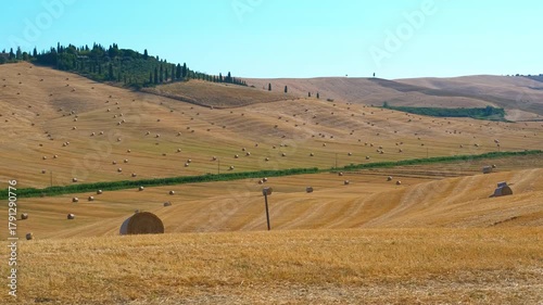 Golden tuscan landscape showing hay bales and cypress trees. Scenic view of rolling hills in tuscany, italy, covered with golden hay bales and cypress trees stretching towards a clear blue sky