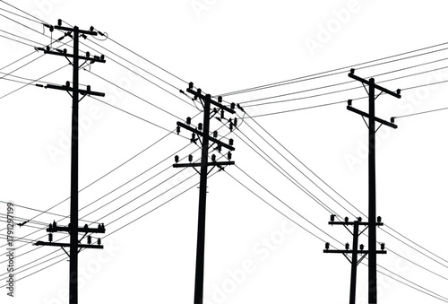 Silhouette power line poles with crossing electrical wires, detailed utility structure vector illustration, black and white minimal landscape art design