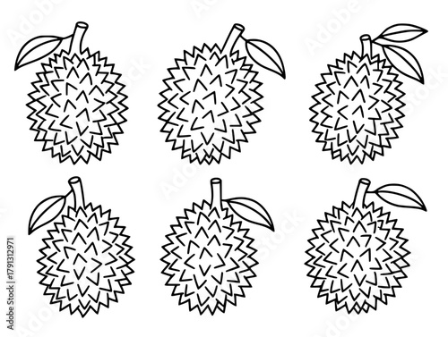 Vector illustration, 6 durian fruits, outline version