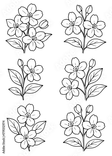 Vector illustration, 6 jasmine flowers, outline version