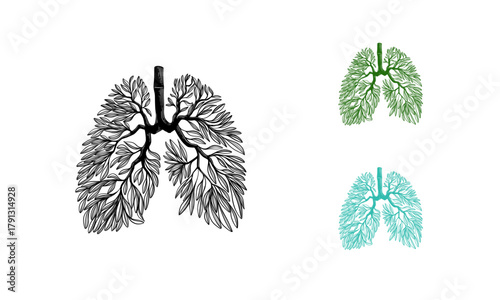 Hand drawn Healthy Lungs illustration, Lungs combined with Leaf Nature concept