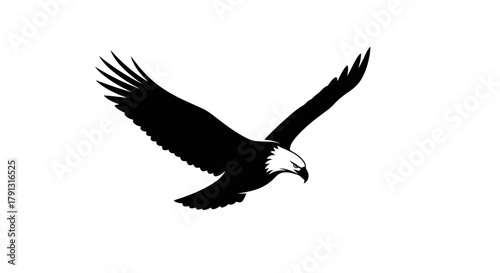 Silhouette of an eagle soaring with wings spread, isolated on white background.