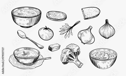Vegetable soup. Hand drawn illustration converted to vector