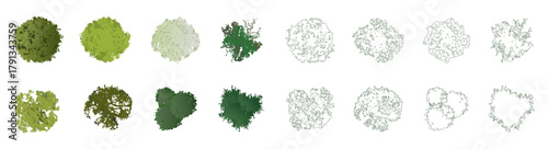 Vector view of trees in hand-drawn top view, isolated on a white background, for landscape and architectural projects, environmental and garden elements.