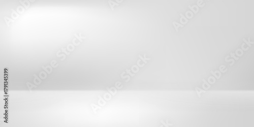 Simple and clean light box space vector design background. Stylish gray abstract card. Trendy blank backdrop texture. Neutral pastel colored surface. Design banner. Silver gray gradient empty room.