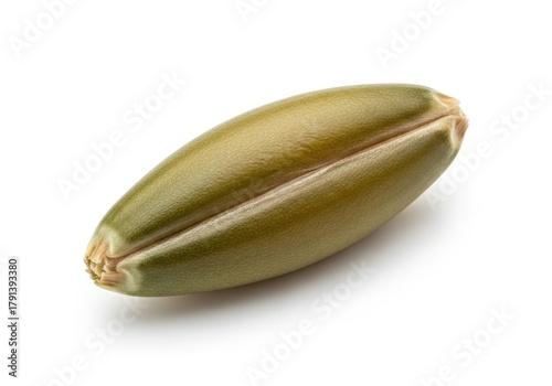 Wallpaper Mural Single raw oat grain displays fine detail against a pure white background Torontodigital.ca