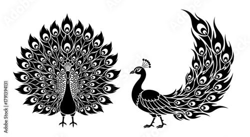 Two stylized peacock illustrations in black and white, one with its tail feathers fully displayed and the other with tail feathers curved.