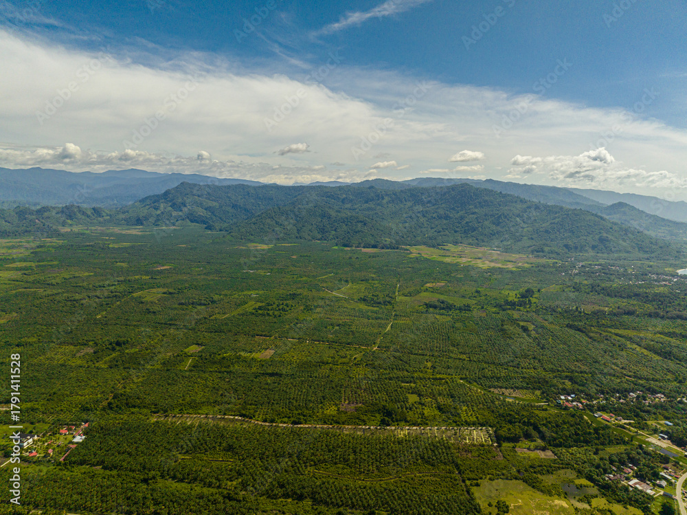 Obraz premium Countryside with oil palm plantations and farmland. Sumatra. Indonesia.