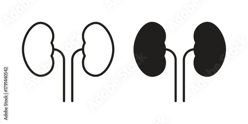 Kidney disease icon. Vector linear icons. simple flat icons