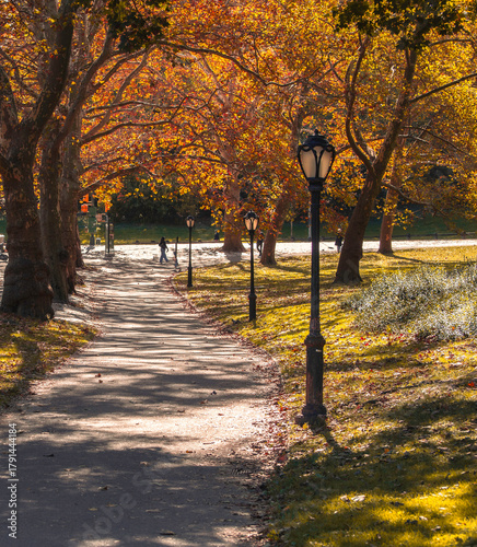 Central Park pathway during autumn in New York
