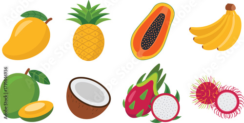 Tropical fruits vector illustration, colorful exotic fruit collection with mango, pineapple, papaya, banana, coconut, dragon fruit, and rambutan for healthy design