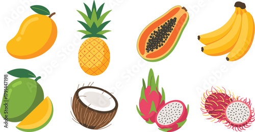 Tropical fruits vector illustration, colorful exotic fruit collection with mango, pineapple, papaya, banana, coconut, dragon fruit, and rambutan