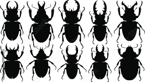 Stag beetle silhouette vector collection, detailed insect illustration set with horn variations, perfect for entomology, biology, wildlife, and educational nature designs