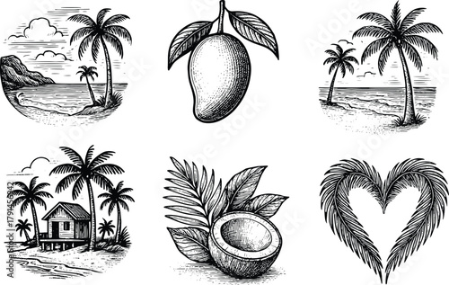 Hand-drawn tropical vintage illustration set with mango coconut palm trees beach hut and heart-shaped leaves