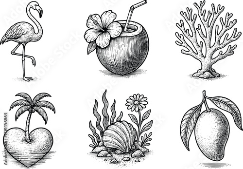 Hand-drawn tropical vintage illustration set with flamingo coconut drink coral heart island seashell and mango fruit