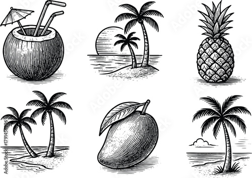 Hand-drawn tropical fruit and beach vintage illustration set with coconut mango pineapple and palm trees