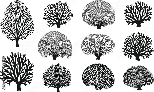 Sea fan and coral silhouettes set, gorgonian reef plants vector, underwater ocean flora icons, black botanical shapes, tropical aquarium decoration illustration