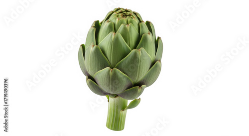 Fresh green artichoke vegetable isolated on transparent background