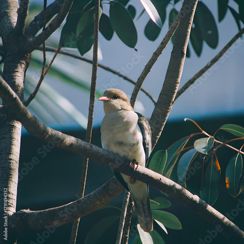 Small bird perched on a tree branch in nature