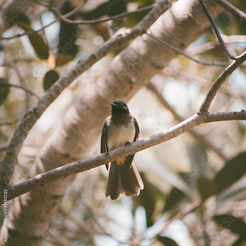 Small bird perched on a tree branch in nature