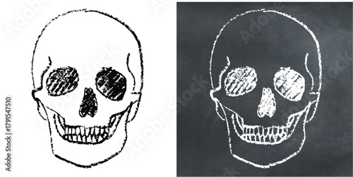 Chalk Handdrawn Human Skull Icon Vector Ideal for medical, educational, gothic, or anatomical projects requiring a hand-drawn chalkboard aesthetic.