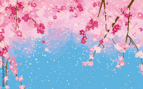 Vetor de flores de cerejeira rosa caindo em um céu azul claro com pétalas flutuantes