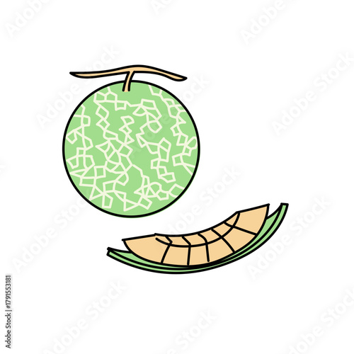 メロンの果実とカットされた果肉を描いたシンプルなベクターイラスト｜夏の爽やかさや新鮮な果物の魅力を伝える視覚素材