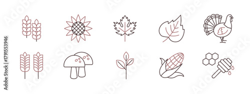Thanksgiving icon set. Simple vector in modern thin line style. Vector illustration.