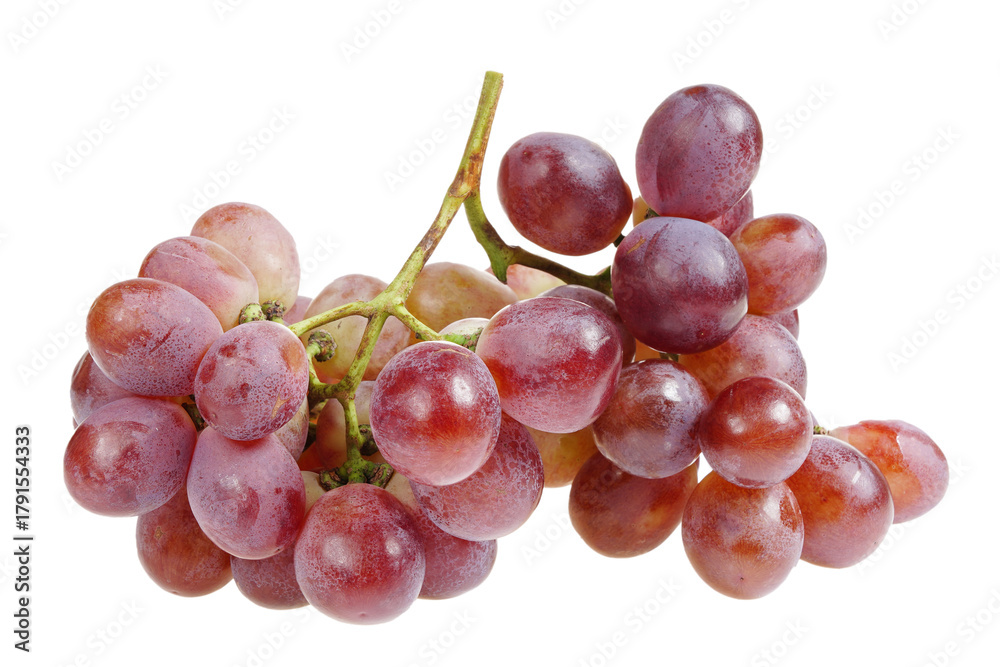 Fototapeta premium Grapes are very fresh on a white background.