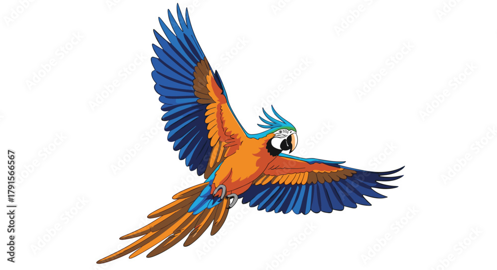 Obraz premium A beautiful blue and orange macaw parrot is captured in a dynamic flight pose against a clear white background.