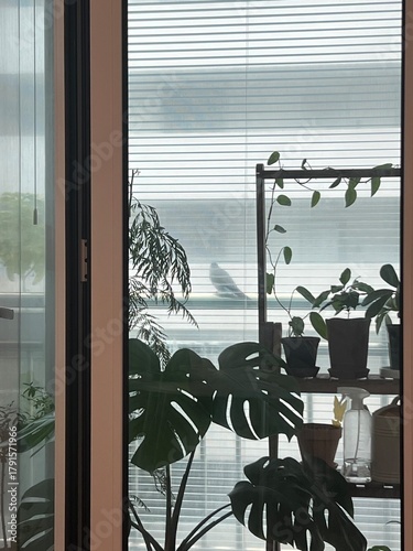 view from the balcony