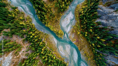 Aerial Top-Down View of a Braided Turquoise River in an Autumnal Forest