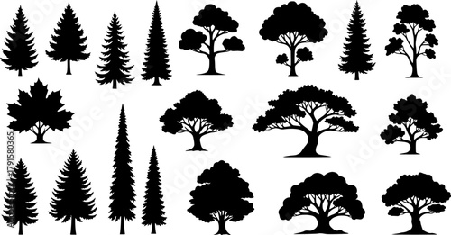 silhouette tree set