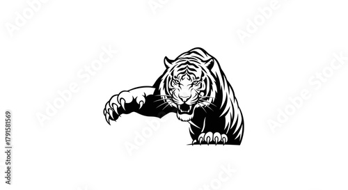 A fierce black and white illustration of a tiger lunging forward with its claws extended.