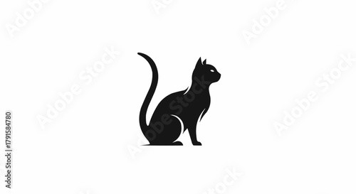 black cat on white background