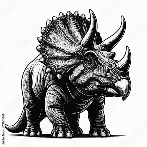 white background triceratops vector image