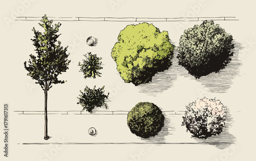 Collection of various stylized trees and shrubs depicted from a top-down perspective.