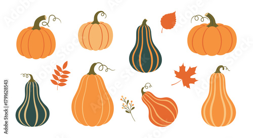A collection of pumpkins and autumn leaves in various shapes and colors on a white background.