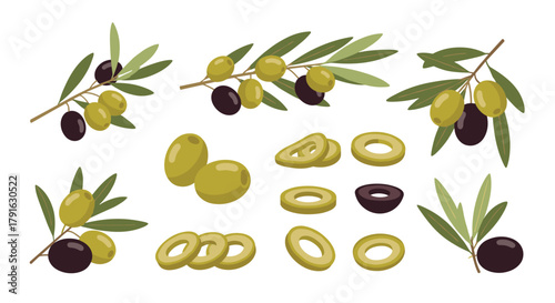 Collection of whole and sliced olives on branches and separate elements.